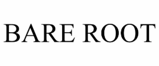 BARE ROOT